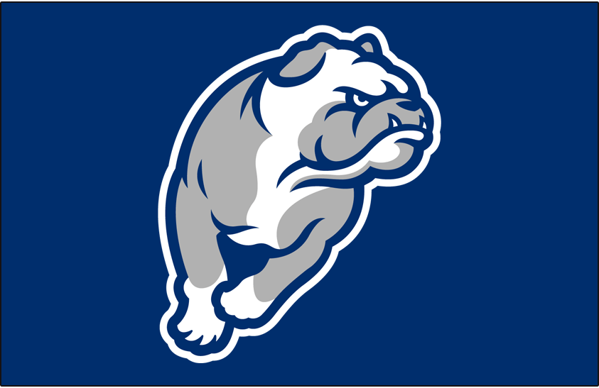 Drake Bulldogs 2022 Helmet Logo diy iron on heat transfer